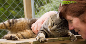 ynn Stone des chats du Quercy avec deux de ses pensionnaires.