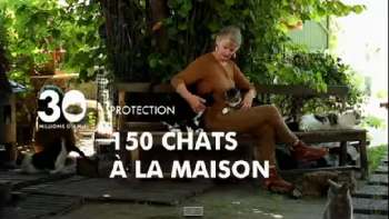 Un refuge, 150 chats et pas une cage ! 