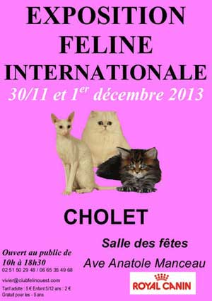Affiche de l'exposition de chats Internationale 2013 de Cholet 