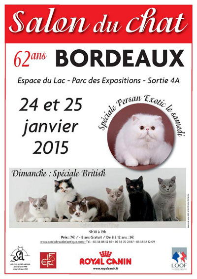 Exposition de chat à Bordeaux le 24 et 25 janvier 2015.