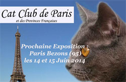Exposition Féline Internationale de Bezons le 14 et 15 juin 2014