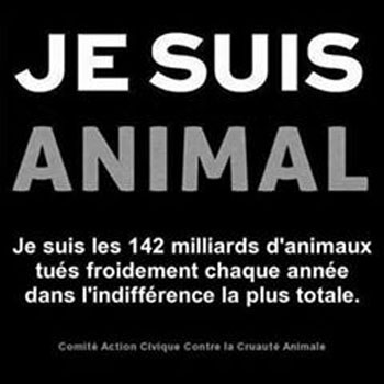 Bravo à Brigitte qui se dévoue corps et âme à la cause animale !