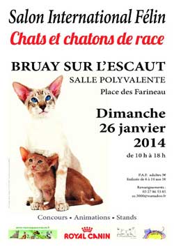 L'affiche du Salon chat Bruay-sur-l'Escaut 2014