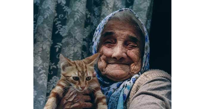 En savoir plus sur les bienfaits de la présence de chats auprès des personnes âgées.
