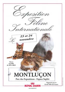 Exposition de chats le 23 et 24 novembre 2013 à Montluçon 