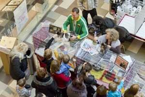 Exposition Féline à Cambrai le 23 février 2014