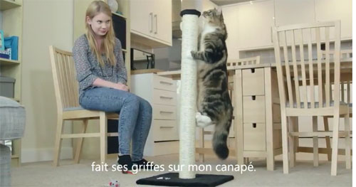 Feliscratch by Feliway : Votre chat ne griffe plus le canapé, le tapis, le montant de l’armoire…  