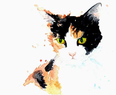 Kathleen Wong Art : portraits des chats de Hong Kong