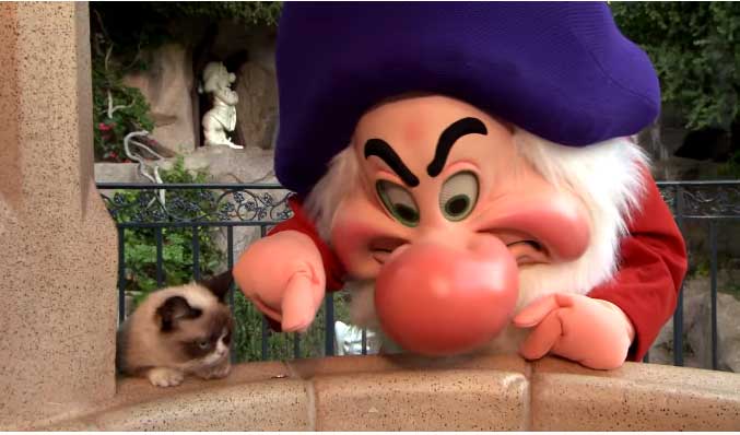 A Disneyland, les chats veillent sur une souris !