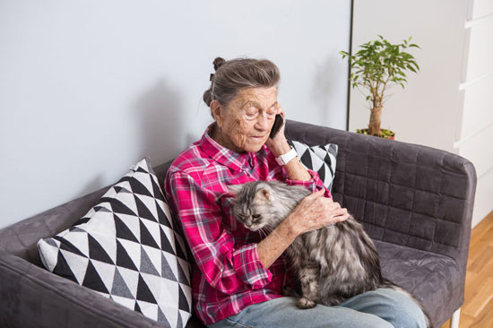 Le chat possèderait en effet de véritables pouvoirs thérapeutiques.