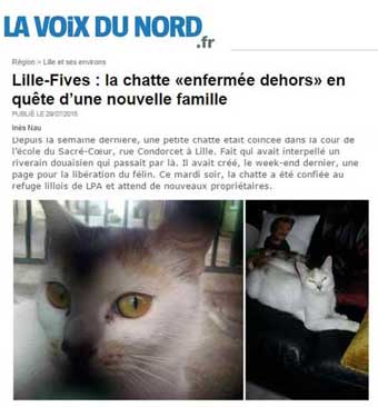 Comment un chat à l'école ameute tout un quartier