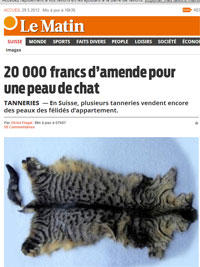 20 000 balles la peau de chat, tout ça pour peau de balle… 