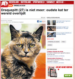 Record du monde ! le chat Draquepitt a vécu 27 ans ! 