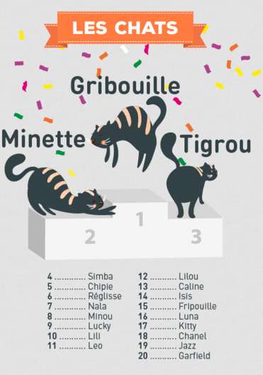 Gribouille, Minette, Tigrou, le palmarès des noms des chats 2015...