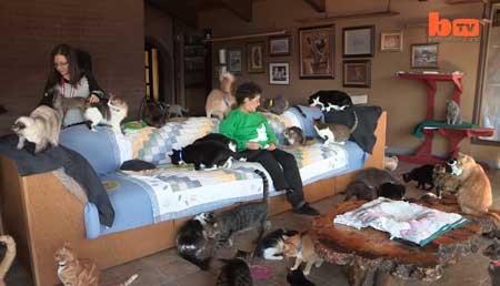 Qui dit mieux ? Lynéa héberge 1100 chats chez elle ? 