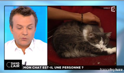 Mon chat est-il une personne ?