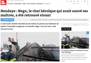 On a retrouvé vivant le chat Negu qui avait sauvé 5 personnes du feu.