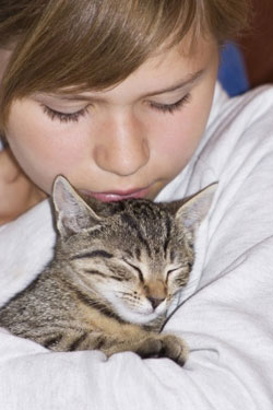 Photo d'archive d'un chat et d'une jeune fille