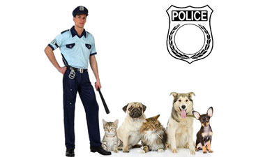 Signez la pétition visant à créer une police de protection des animaux.