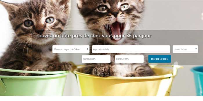 Copie d’écran du site Pretemoitonchat.com