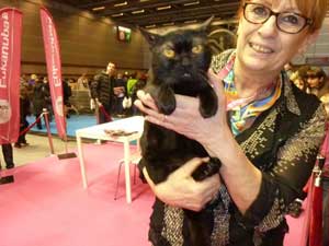 Des chats au Salon de l'Agriculture 2014