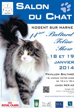 Affiche du salon du chat 2014 à Nogent sur Marne le Baltard Feline Show