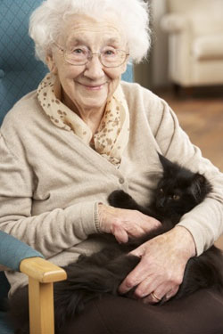 Personne âgée et un chat dans un hospice