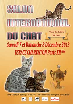 L'affiche du 5ème Salon International du Chat de Paris XIIème 2013