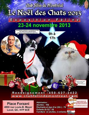 Affichedu  Noel des Chats 2013 de Montréal organisé par le Club félin de Montréal