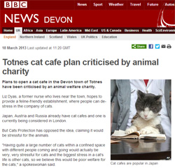  Le projet d'ouvrir un bar pour chat à Totnes dans le Devon critiqué par la SPCA