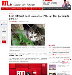 Le chat cambouis