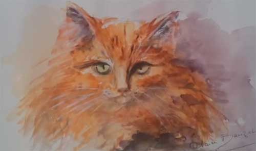 Une amoureuse des chats qui les immortalise en aquarelle