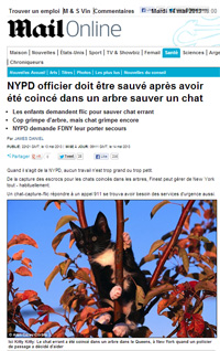 Un policier à New York en tentant de sauver un chat doit à son tour appeler à l'aide. 