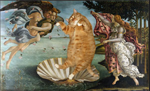 Le chat Zarathoustra, l'art ... c'est du lard ! 