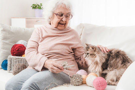 Un chat devenu aide-soignant à Jaunay-Marigny.