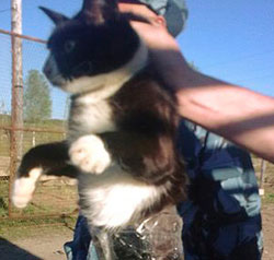 Un chat arrêté en Russie pour assistance à des prisonniers au goulag.