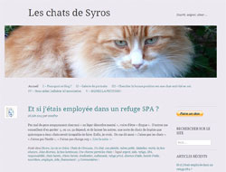 Les chats de Syros : Pauvre Grèce ! 