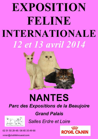 Affiche de l'exposition féline du 12 et 13 avril 2014 de Nantes