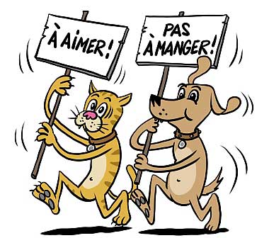 Signez la pétition contre le commerce et la consommation de la viande de chat en Suisse.