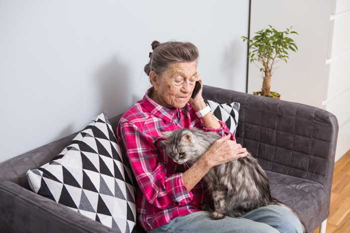 Les résidents d’Ehpad pourront désormais prendre leur chat avec eux.