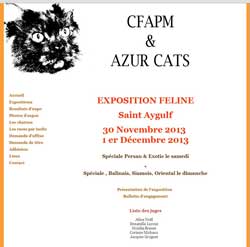 Affiche de l'exposition de chats à Saint Aygulf  30 novembre et 1 décembre 2013