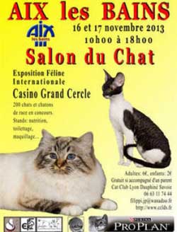 Exposition de chats à d'Aix les Bains les 16 et 17 novembre 2013