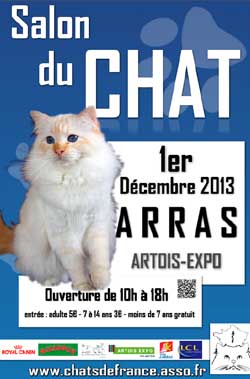 Affiche du Salon du chat dimanche 1 décembre 2013 à Arras