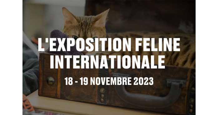 Grande exposition féline les 19 et 20 novembre 2023 à Genève.