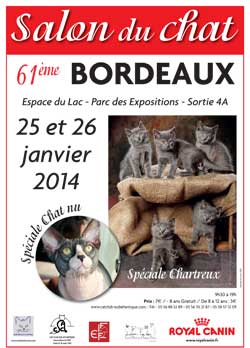 Affiche de l'exposition féline de Bordeaux du 25 au 26 janvier 2014 