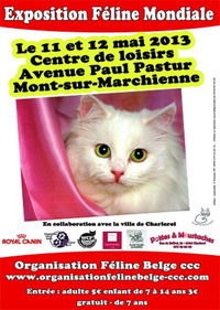 Exposition mondiale de chats à Mont sur Marchienne les 11 et 12 mai 2013