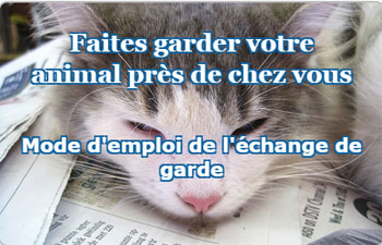 Nouveau, la garde de chats échangée entre particuliers...