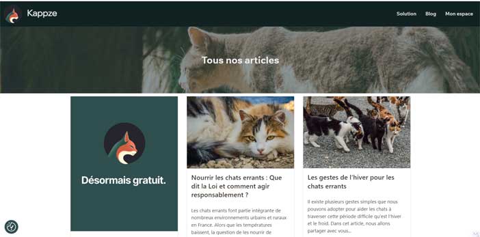 Kappze : une solution innovante pour la protection des chats errants