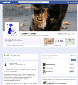 Le café des chats de Margaux Gandelon sur Facebook