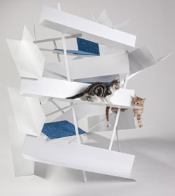 FixNations lance l'architecture pour chats...